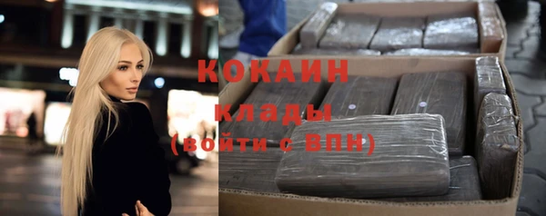 прущие грибы Володарск