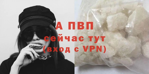 марки lsd Бородино